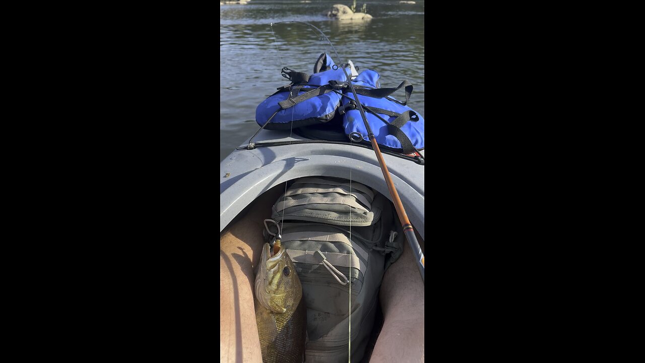 Nice smallmouth at holtwood dam!!!