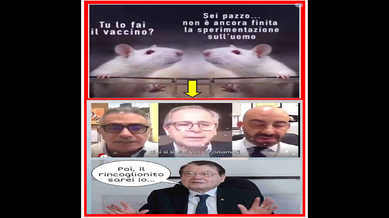 La Pfizer💉 ammette: “🤑​Nessun🤑​test🤑​sui vaccini🤑​riguardo🤑​trasmissione🤑​virus”🤑💰​🤑​💰​💰​💰​​