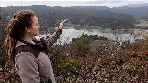 The Tainted Forest. Forrest Industry Toxic Defoliation Causes Sickness and Wildfires