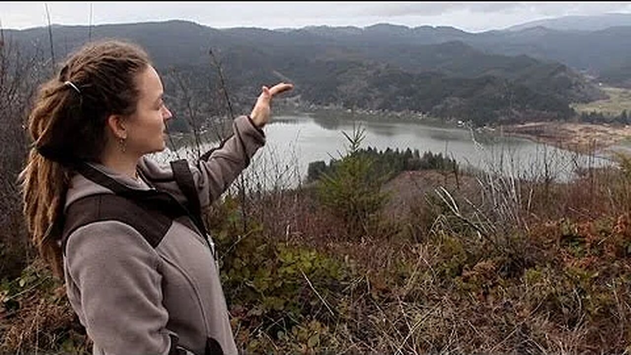 The Tainted Forest. Forrest Industry Toxic Defoliation Causes Sickness and Wildfires