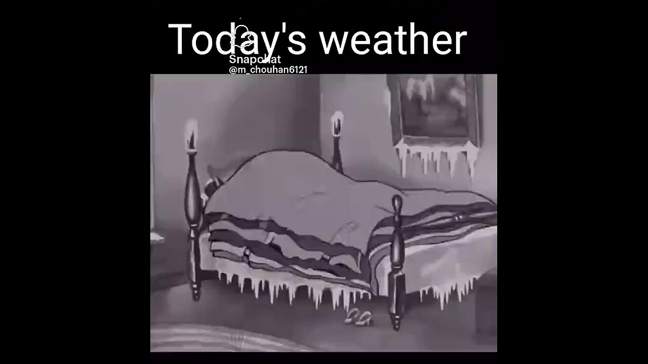 funny must watch you laugh until summer