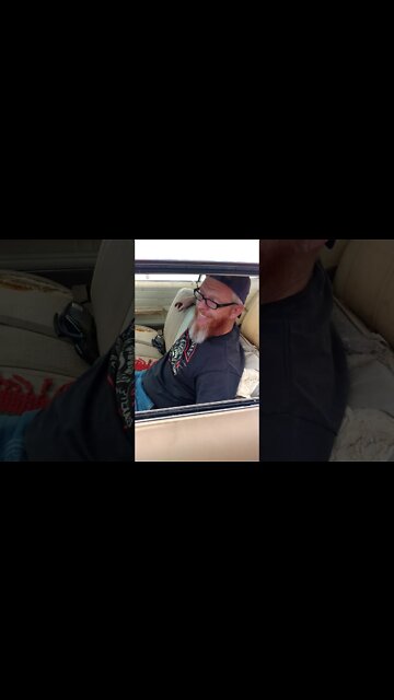 1966 Chevrolet Impala 2 Door Coupe Project bad throwout bearing?