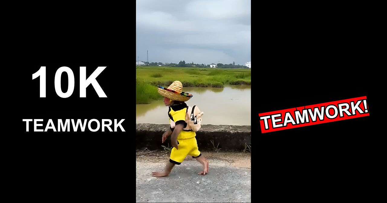 10K Teamwork | Silence Little Monkeys