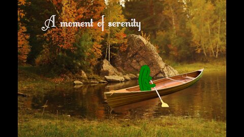 A moment of serenity
