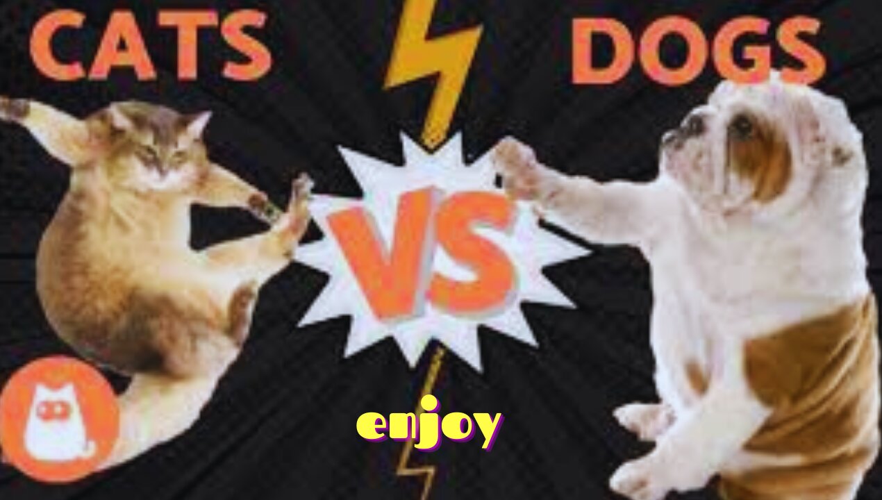 Cats vs Dogs Fighting - Funny Cats and Dogs Compilation || 🐾