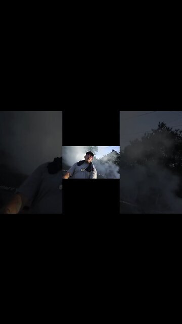 King Of The City @kingsann8445