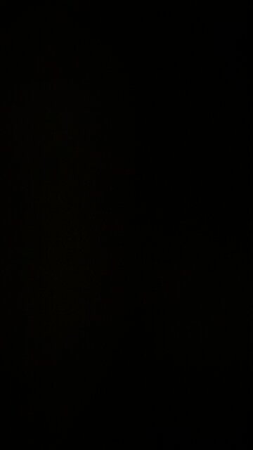 You can’t vote for Trump!