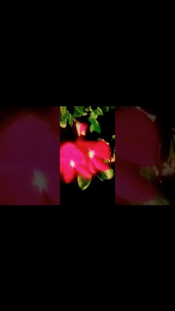 [F£ow€®{_•%•_}¶0w€π] ∆√√√√√√√√√√√√√√∆