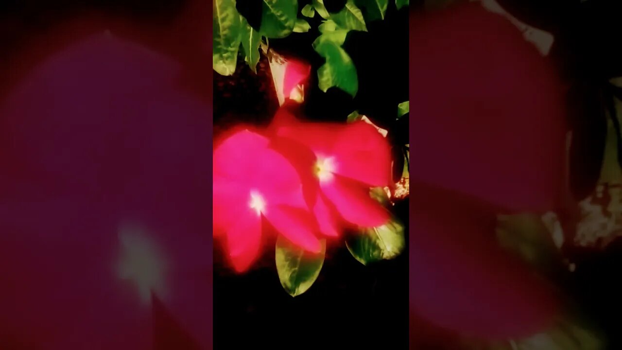 [F£ow€®{_•%•_}¶0w€π] ∆√√√√√√√√√√√√√√∆