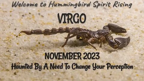 VIRGO November 2023 - Haunted By A Need To Change Your Perception