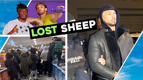 LOST SHEEP