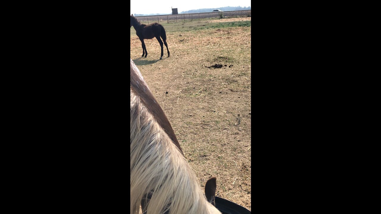 Water break