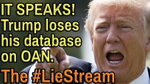 TRUMP FREE #LieStream - KevinlyFather and YOUR CHAT.