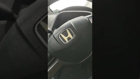 WHAT A YOUNSTER SEIZE