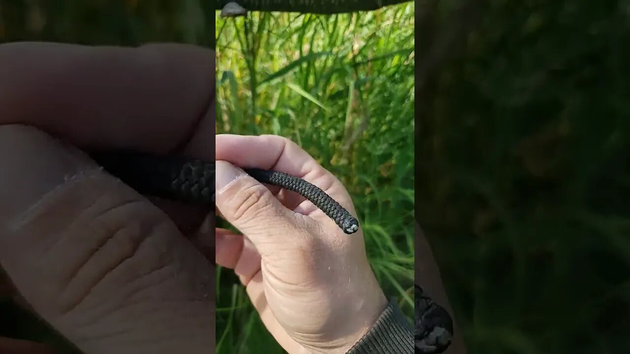 Simple Simon Bend (knots)