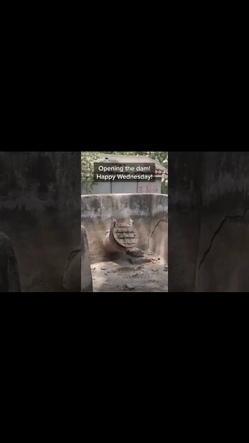 #shorts #2022 funny,prank,funjokes,dad jokes,funny memes,funny video,fun,laughing,funny animal,knock