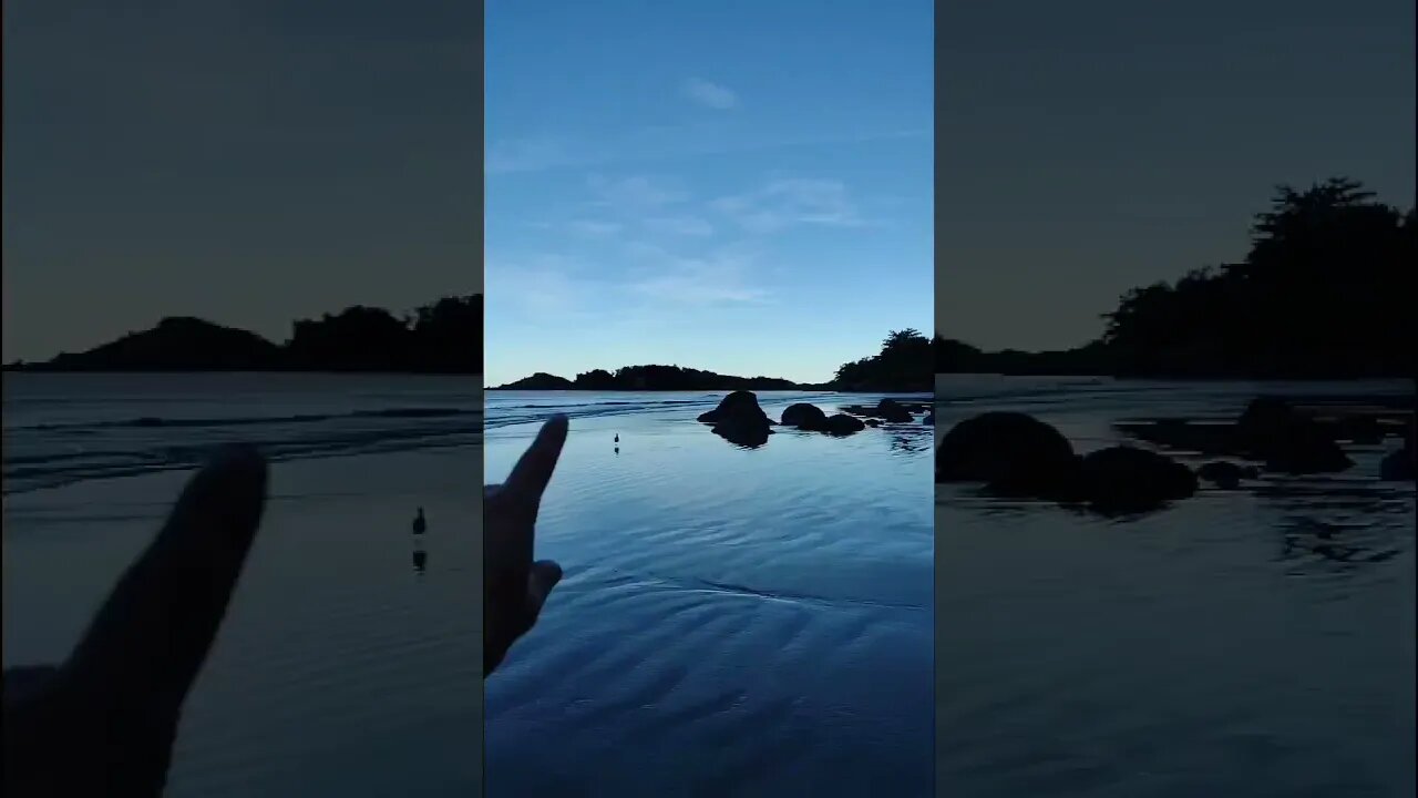 PRAINHA NO GUARAÚ EM PERUÍBE SP #SHORTS