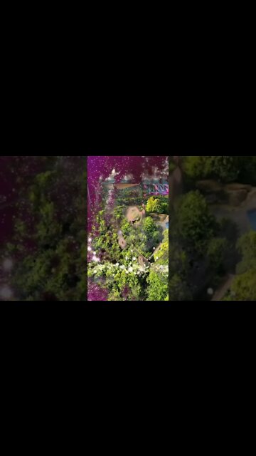 Rocks on rolls #ohhighbud