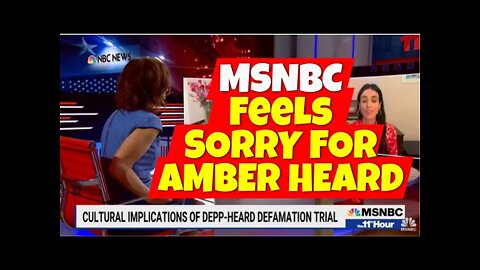 Lawyers React | MSNBC on Depp Win | It's Misogyny.