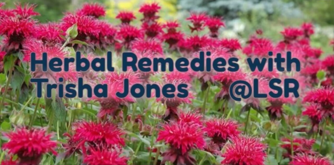 Herbal Remedies w/Trisha Jones