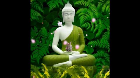 The Power Within ☯️