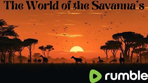 Life in the Savannah