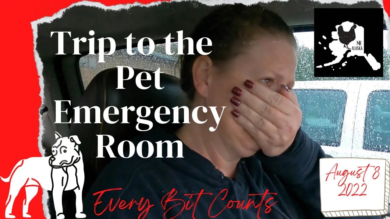 #everybitcountschallenge | An emergency trip to the Alaskan Vet | getting done what we can