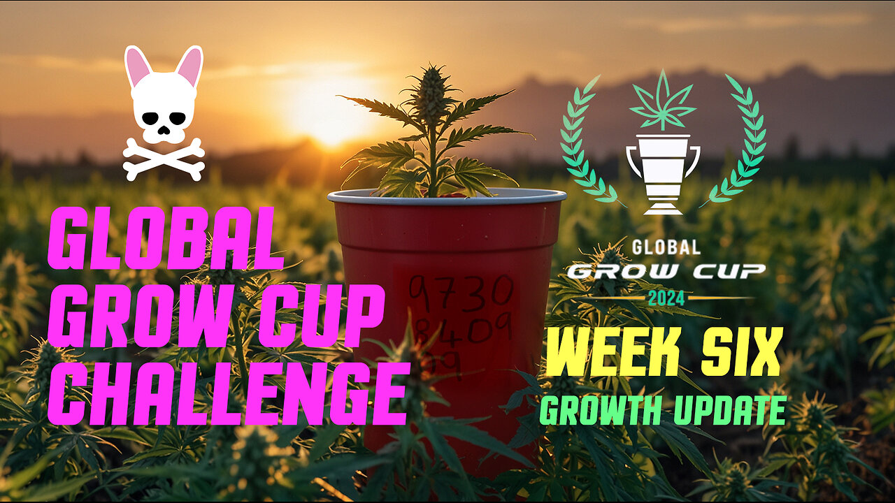 Global Grow Cup Challenge 2024 - Week Six - Spider Farmer SF2000