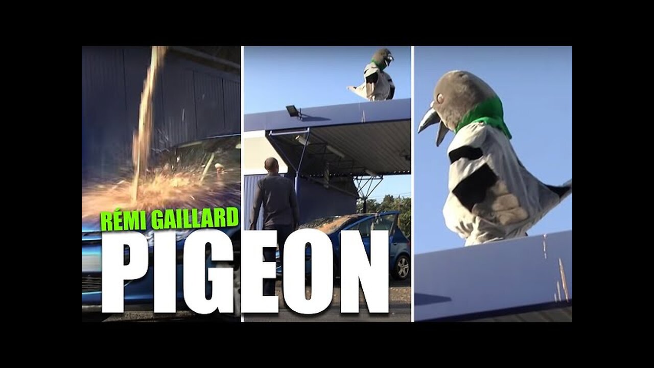 PIGEON POOP PRANK (REMI GAILLARD)