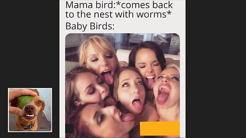 Memes That Will 99.82% Make You Laugh. (e45)