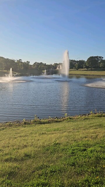 My Peaceful Place - Mind Dynamics