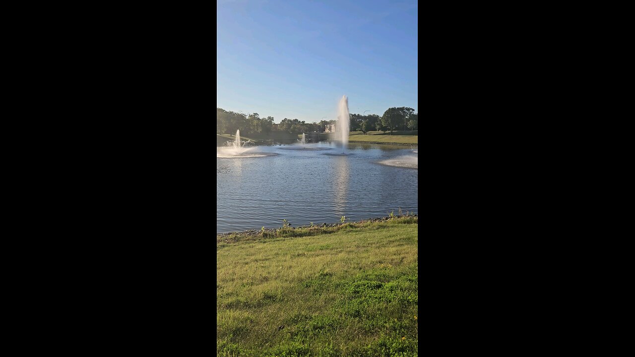 My Peaceful Place - Mind Dynamics