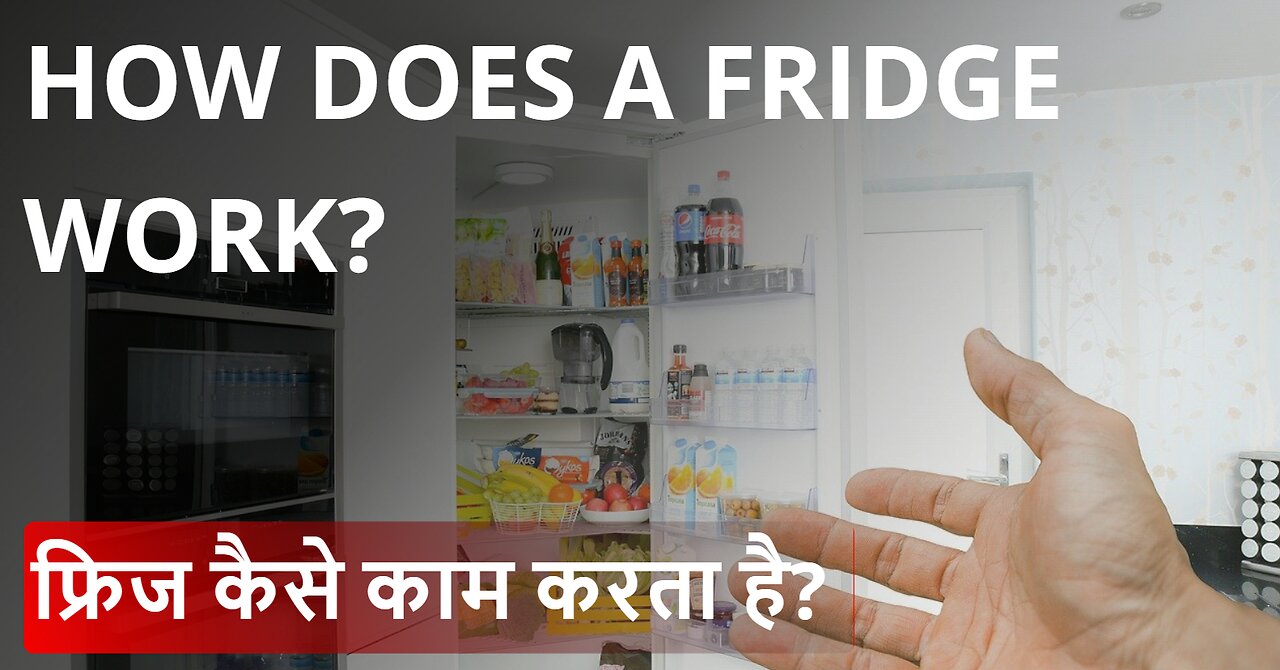 How does a Refrigerator work? | How the Fridge works?