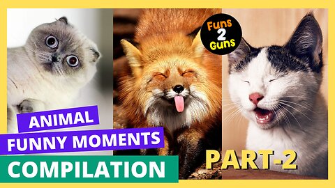 Pet Funny Moments Videos Part - 2