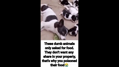😭😥🤬