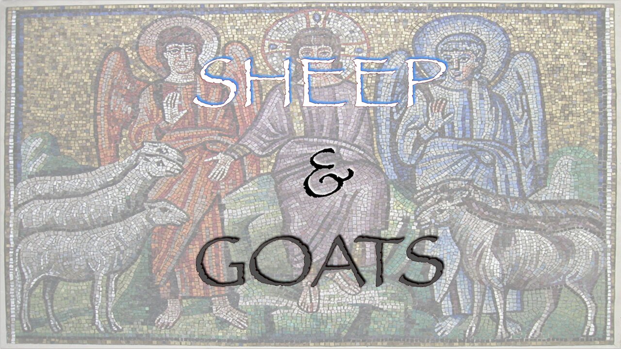 Sheep & Goats