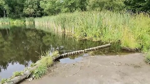 kiedy słowo dotyka serca ...