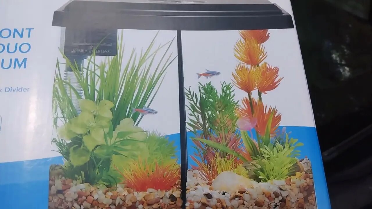 Top Fin Bowfront Betta Duo Aquarium 2.5 Gallon Fishtank First Impressions