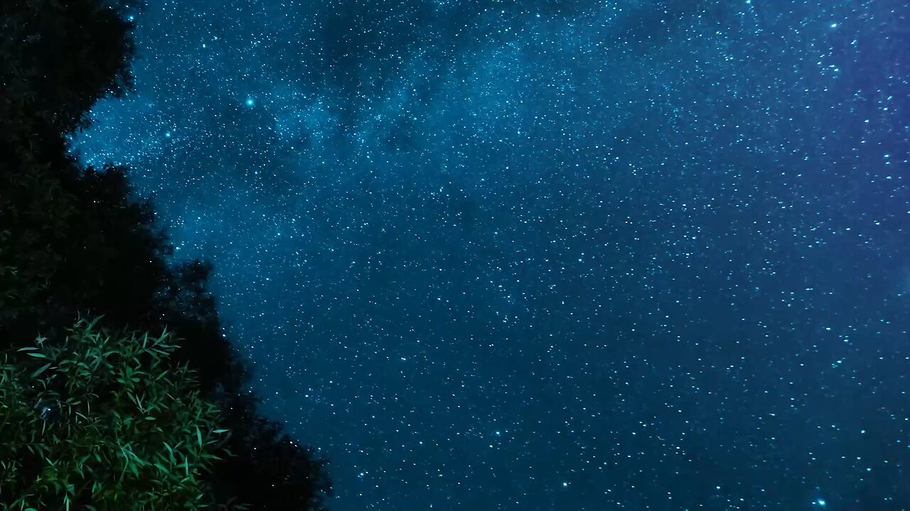 “邪恶让这世界血流成河,我也不会让自己变懦弱” 😠
