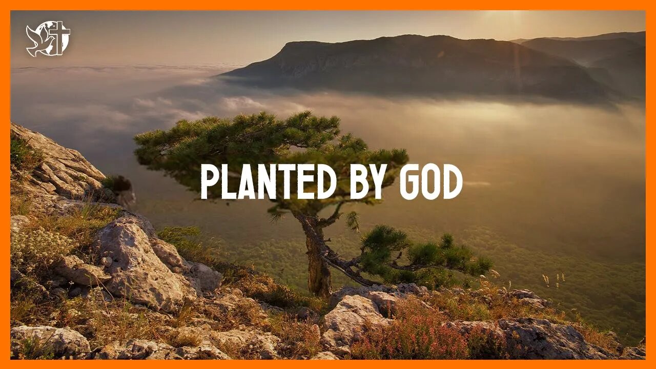 Jesus will come back | PLANTED BY GOD | Cléo Ribeiro Rossafa