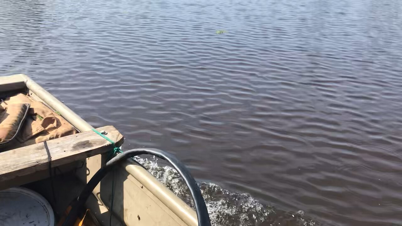 Louisiana fishing