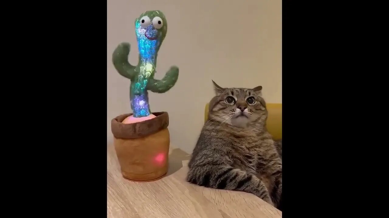 Anoyying furrends😞