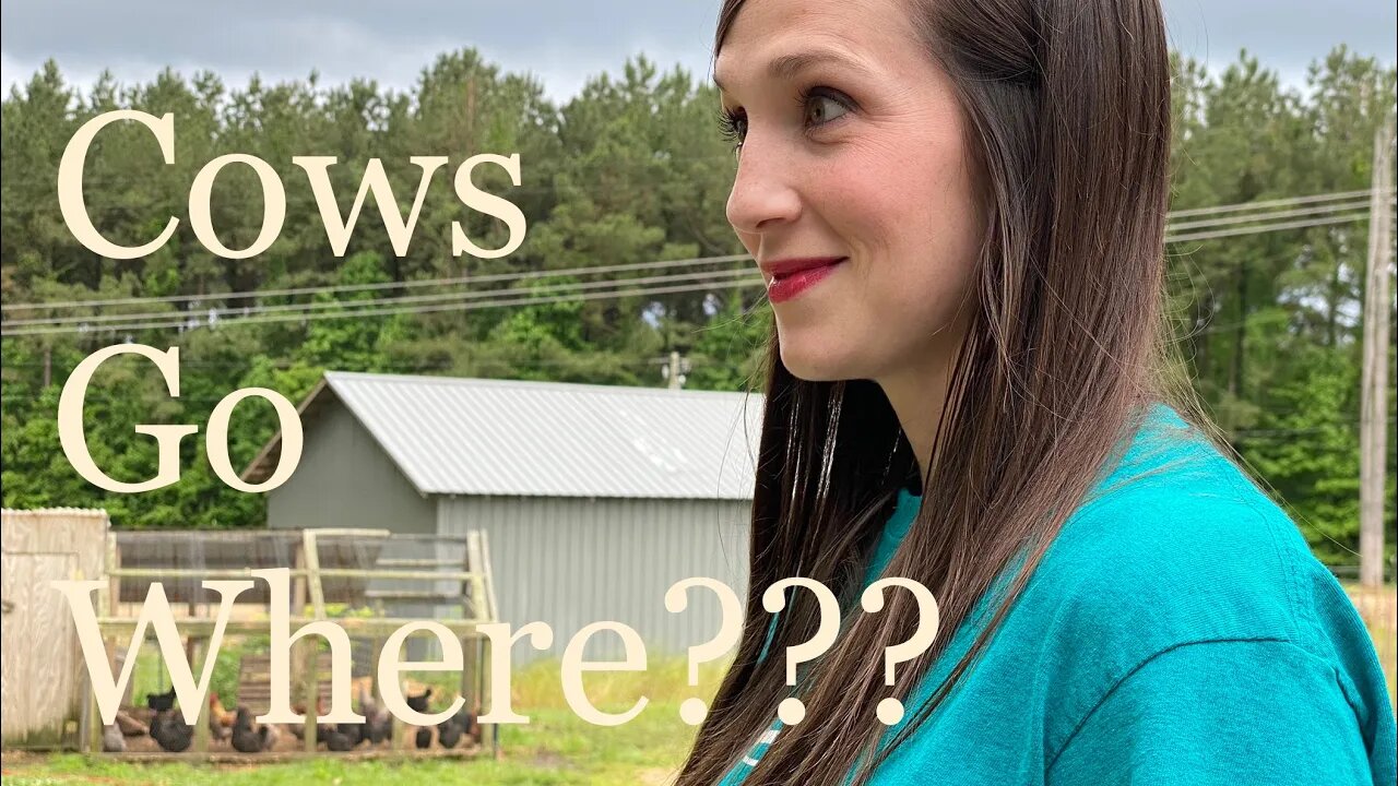 Are The Cows Leaving? |Air Layering | Big Family Farm VLOG