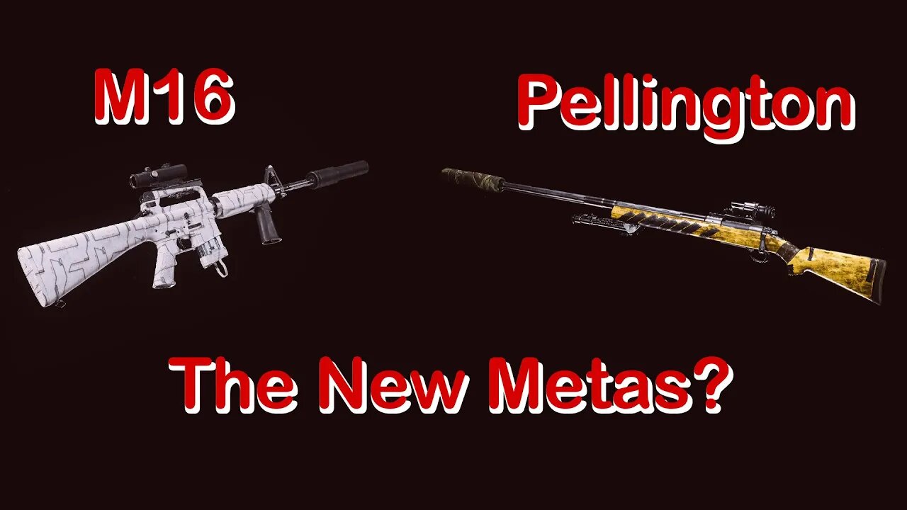 M16 and Pellington: The New Metas after Update? | Call of Duty: Cold War/Warzone #shorts