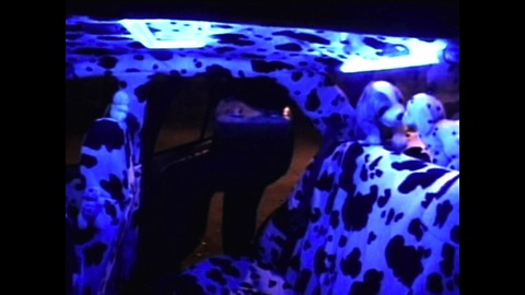 Juan Geraldo's Cow Taxi