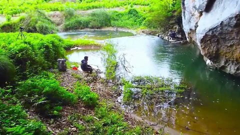 Deep underground river entrance fishing, thrilling, there are a lot of strange fish! /16