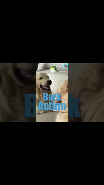 Be Careful Mailman! He's Coming for You😂