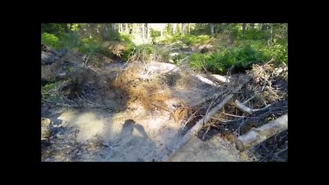 Searching For A New Fishing Spot