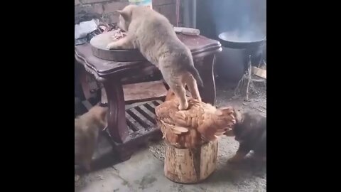 Teamwork in crime! 💕😂