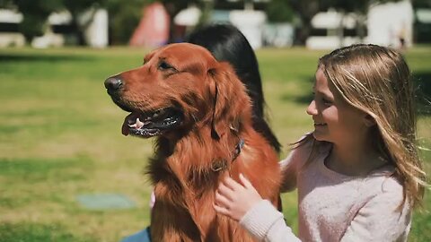 dog with girl